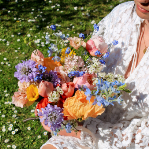 Cosmos Politaine