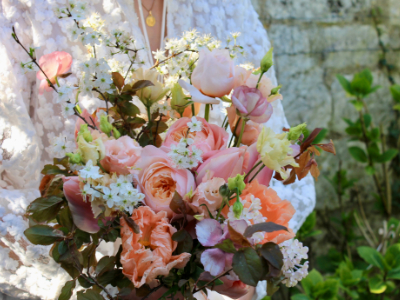 Cosmos Politaine
